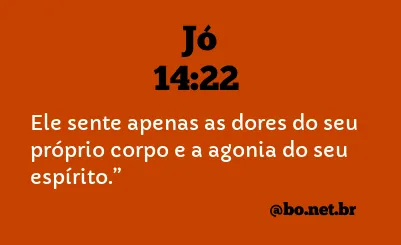 Jó 14:22 NTLH