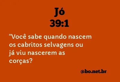 Jó 39:1 NTLH