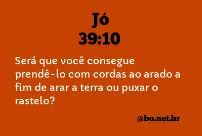 Jó 39:10 NTLH