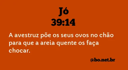 Jó 39:14 NTLH