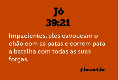 Jó 39:21 NTLH