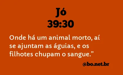 Jó 39:30 NTLH