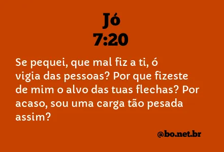 Jó 7:20 NTLH