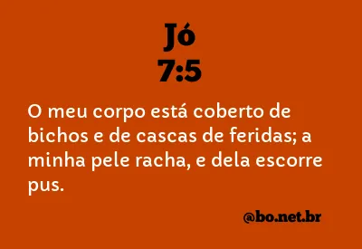 Jó 7:5 NTLH