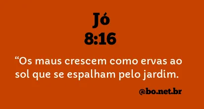 Jó 8:16 NTLH