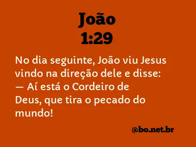 João 1:29 NTLH