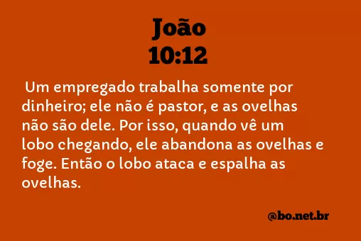 João 10:12 NTLH