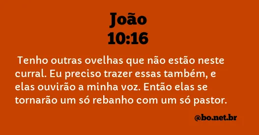 João 10:16 NTLH