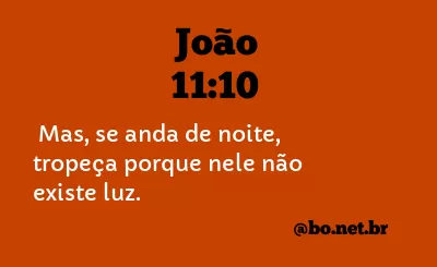 João 11:10 NTLH