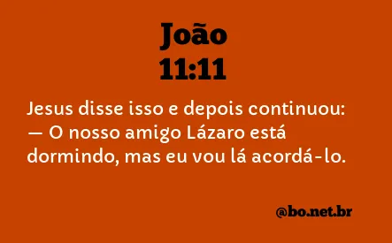 João 11:11 NTLH