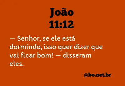 João 11:12 NTLH