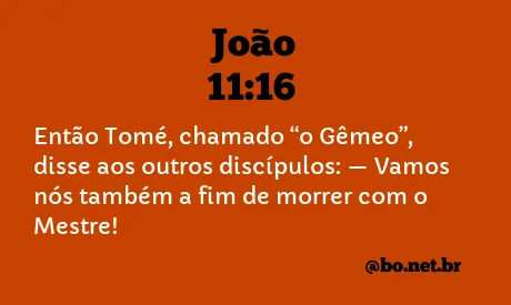 João 11:16 NTLH