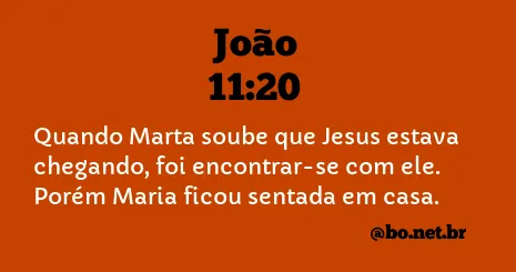 João 11:20 NTLH