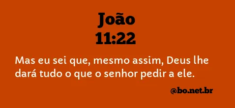 João 11:22 NTLH