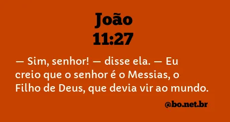 João 11:27 NTLH