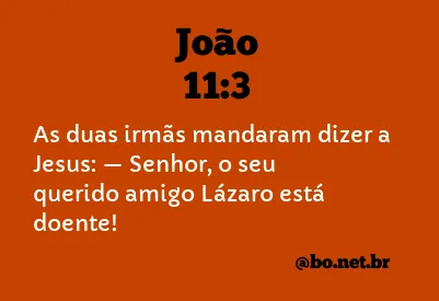 João 11:3 NTLH