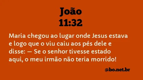 João 11:32 NTLH