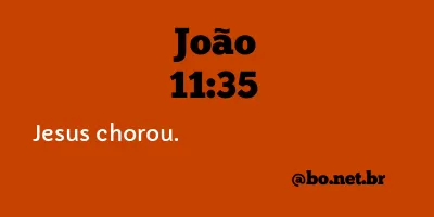 João 11:35 NTLH