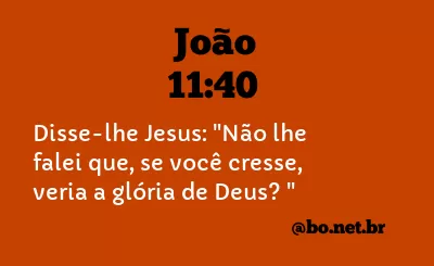 João 11:40 NVI Nova Versão Internacional - Bíblia Online