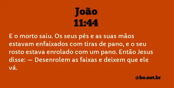 João 11:44 NTLH