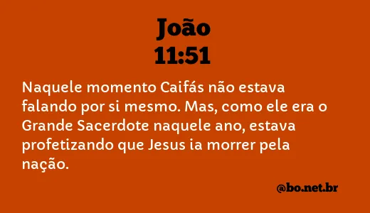 João 11:51 NTLH