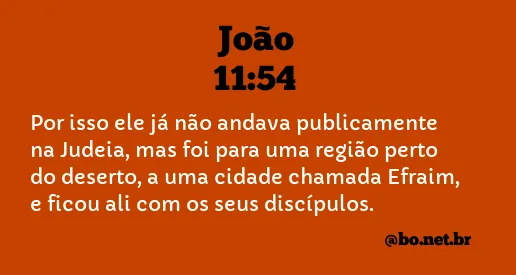 João 11:54 NTLH