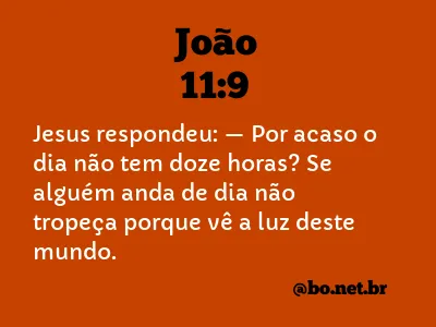 João 11:9 NTLH