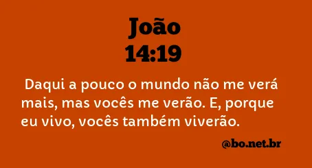 João 14:19 NTLH