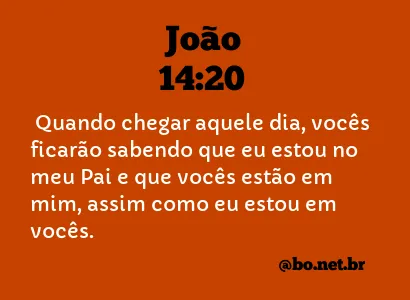 João 14:20 NTLH