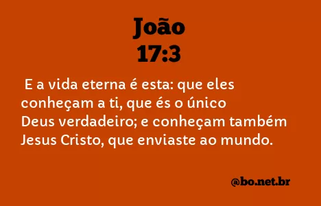 João 17:3 NTLH