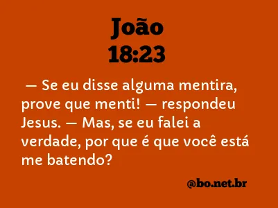 João 18:23 NTLH