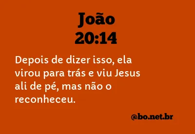 João 20:14 NTLH