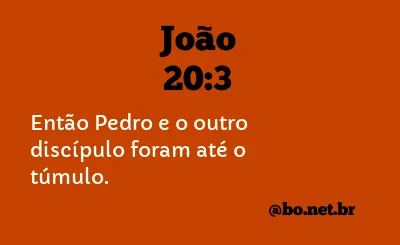 João 20:3 NTLH