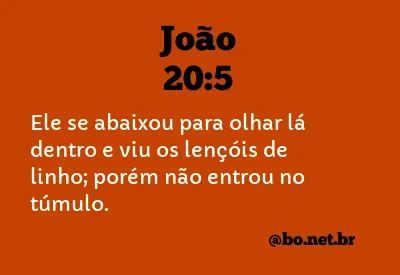 João 20:5 NTLH