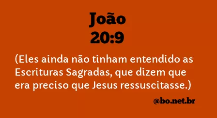 João 20:9 NTLH