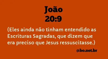 João 20:9 NTLH