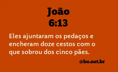 João 6:13 NTLH