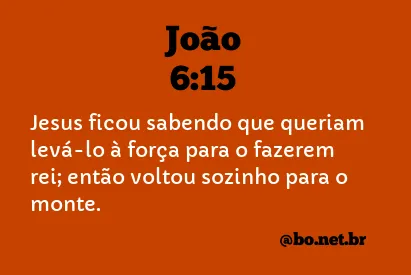 João 6:15 NTLH