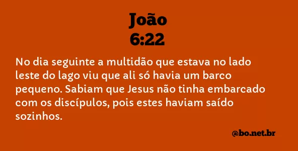 João 6:22 NTLH