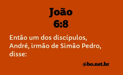 João 6:8 NTLH