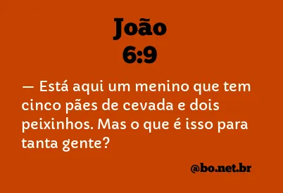 João 6:9 NTLH