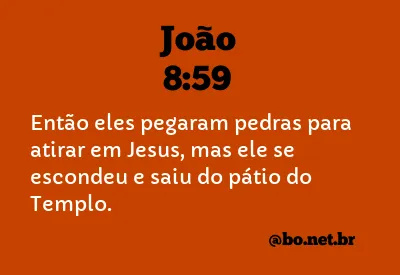 João 8:59 NTLH