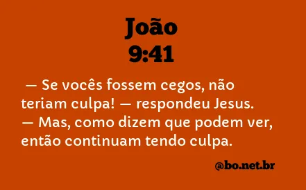 João 9:41 NTLH