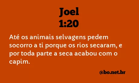 Joel 1:20 NTLH