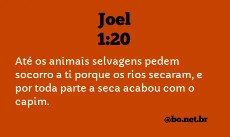 Joel 1:20 NTLH