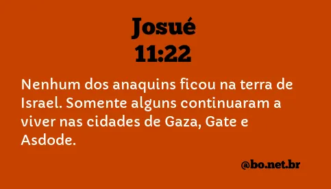 Josué 11:22 NTLH