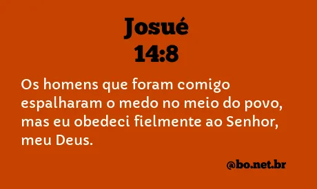 Josué 14:8 NTLH