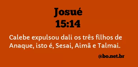 Josué 15:14 NTLH