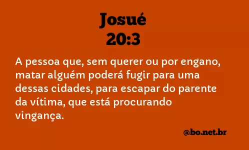 Josué 20:3 NTLH
