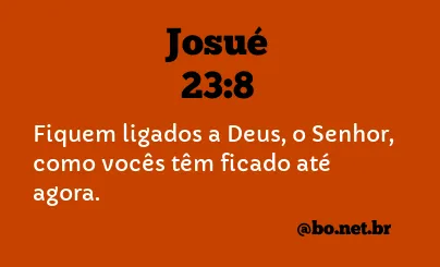 Josué 23:8 NTLH